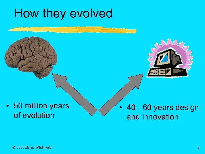 How they evolved • 50 million years of evolution © 2007 Brian Whitworth •