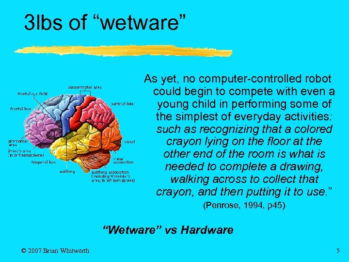 3 lbs of “wetware” As yet, no computer-controlled robot could begin to compete with