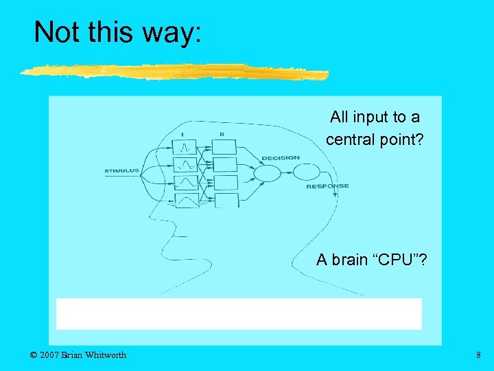 Not this way: All input to a central point? A brain “CPU”? © 2007