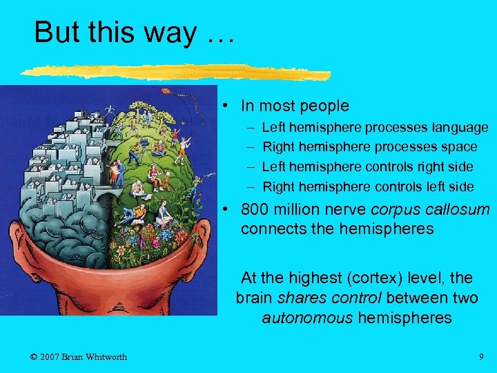 But this way … • In most people – – Left hemisphere processes language