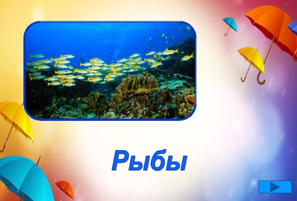 Мы пугливы иногда, Можем быть и храбрыми, Окружает нас вода, В ней мы дышим