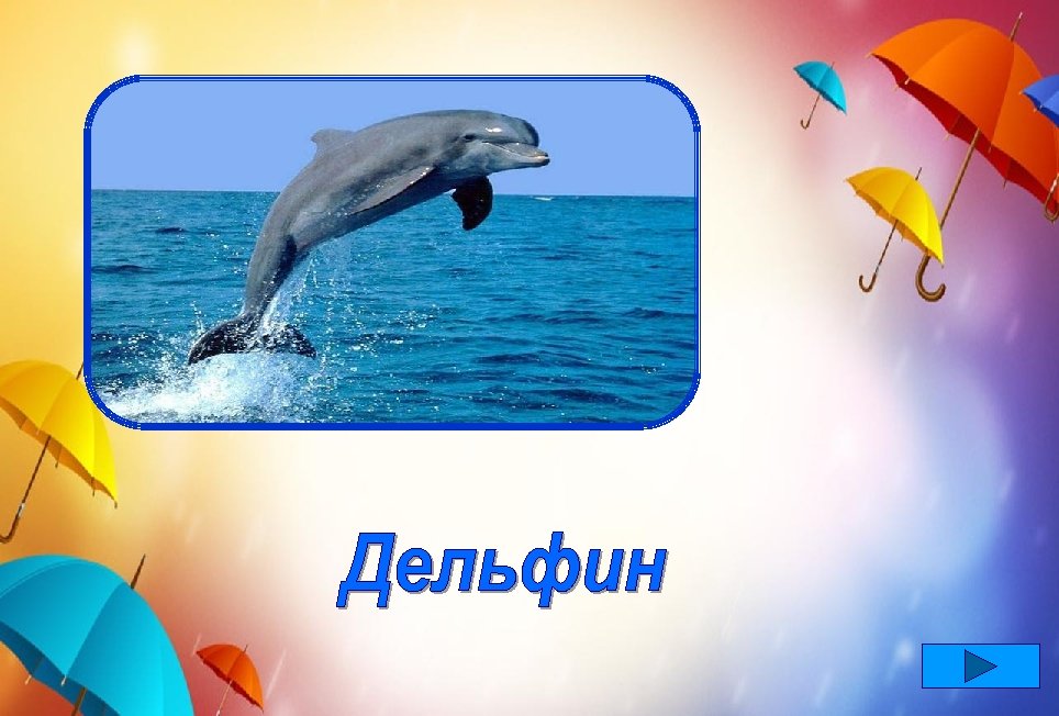 Ты, читатель, мне поверь, Что не рыба я, а зверь. Нет характера добрей –