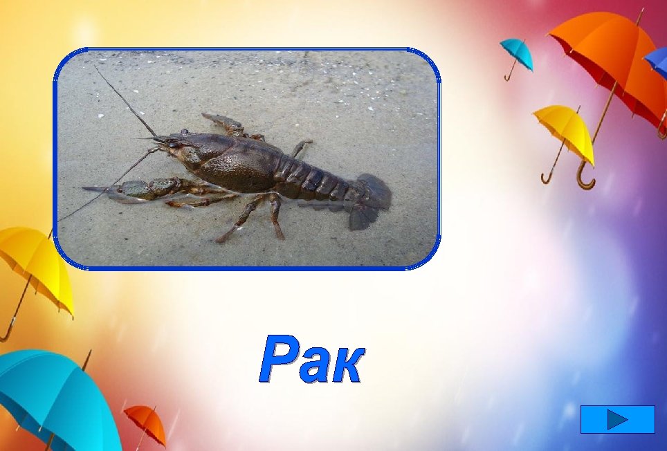 Я живу на дне реки. Только где же плавники? Нет их, сам скорей взгляни