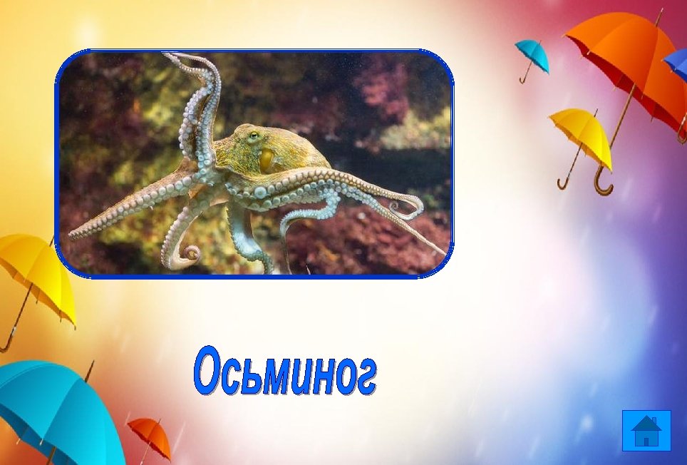 Голова и много ног, А характер очень строг: Если гость ко мне не зван,