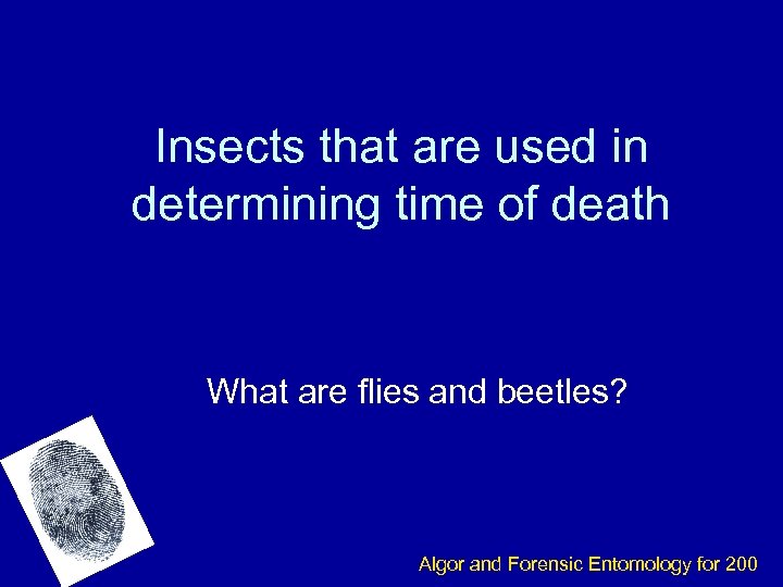 Insects that are used in determining time of death What are flies and beetles?