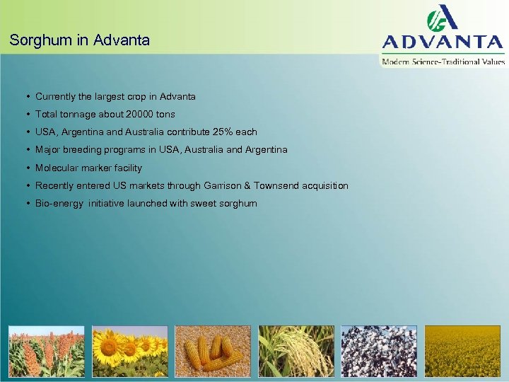 Sorghum in Advanta • Currently the largest crop in Advanta • Total tonnage about