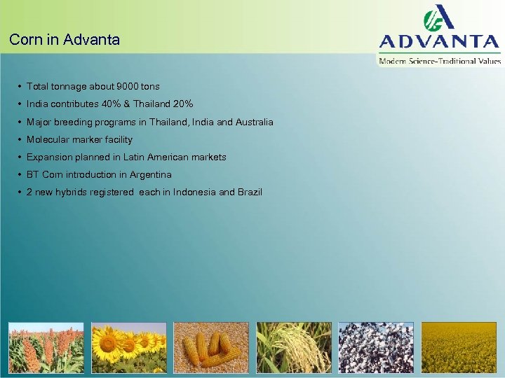 Corn in Advanta • Total tonnage about 9000 tons • India contributes 40% &