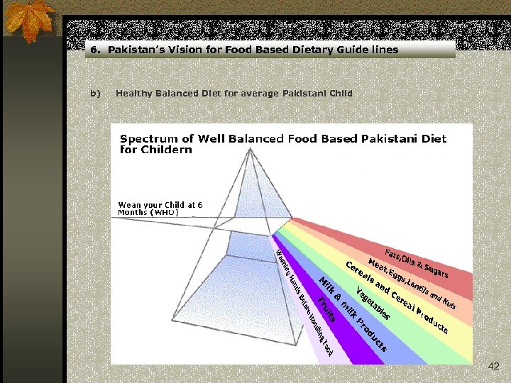6. Pakistan’s Vision for Food Based Dietary Guide lines b) Healthy Balanced Diet for