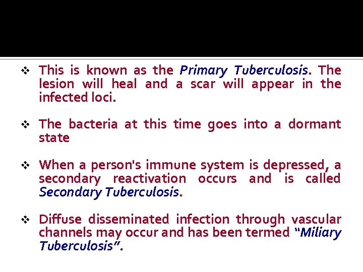 v This is known as the Primary Tuberculosis. The lesion will heal and a