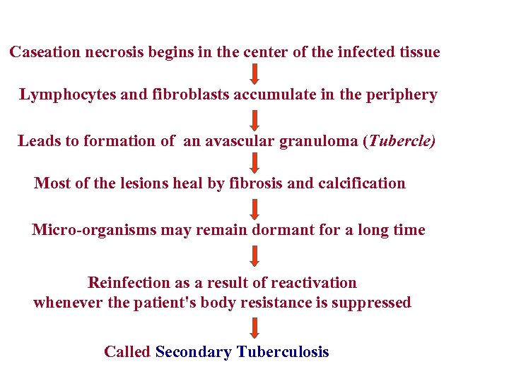 Caseation necrosis begins in the center of the infected tissue Lymphocytes and fibroblasts accumulate