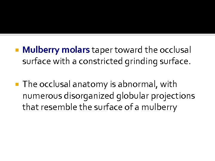  Mulberry molars taper toward the occlusal surface with a constricted grinding surface. The