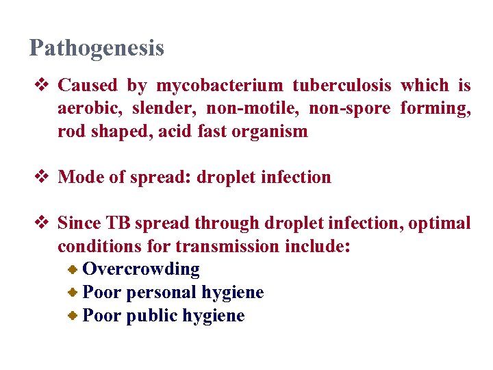 Pathogenesis v Caused by mycobacterium tuberculosis which is aerobic, slender, non-motile, non-spore forming, rod