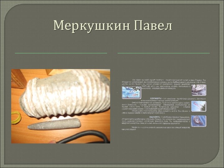 Меркушкин Павел 