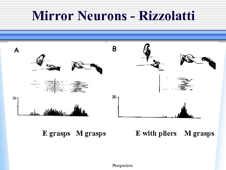 Mirror Neurons - Rizzolatti E grasps M grasps E with pliers Perspective M grasps