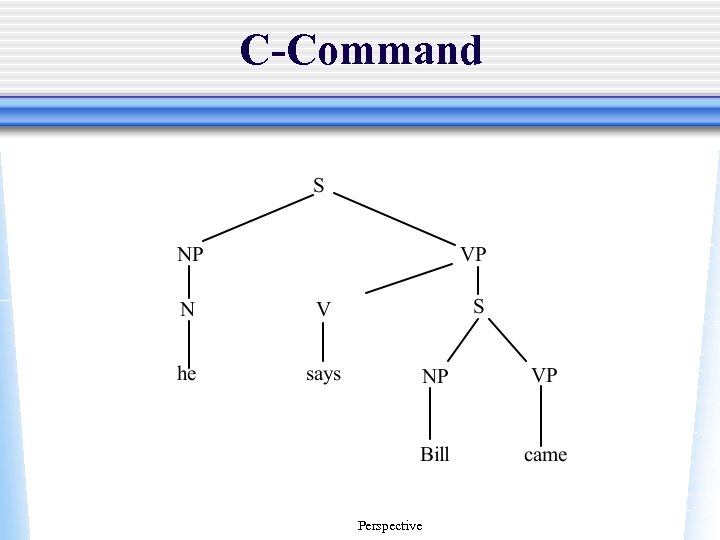 C-Command Perspective 