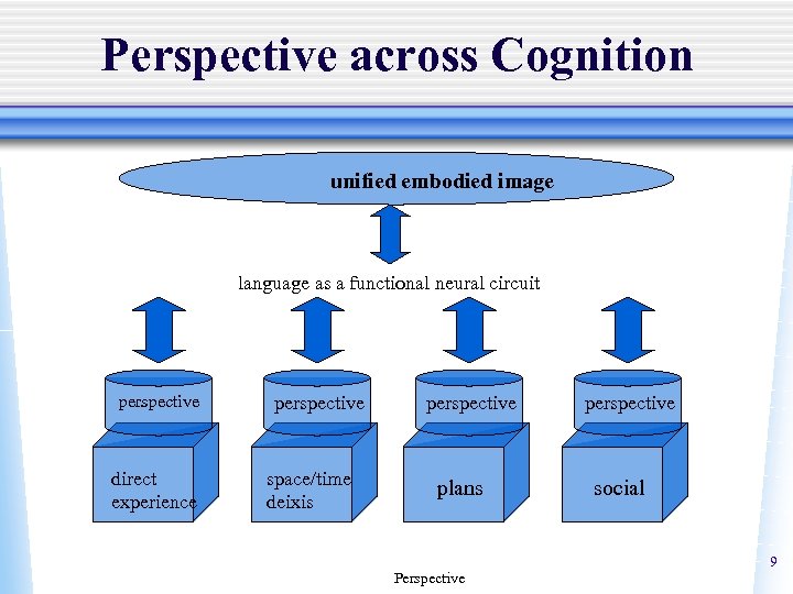 Perspective across Cognition unified embodied image language as a functional neural circuit perspective direct