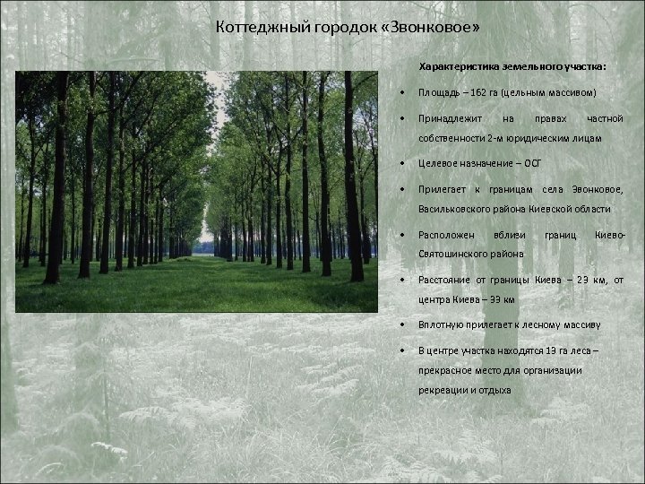 Коттеджный городок «Звонковое» Характеристика земельного участка: • Площадь – 162 га (цельным массивом) •