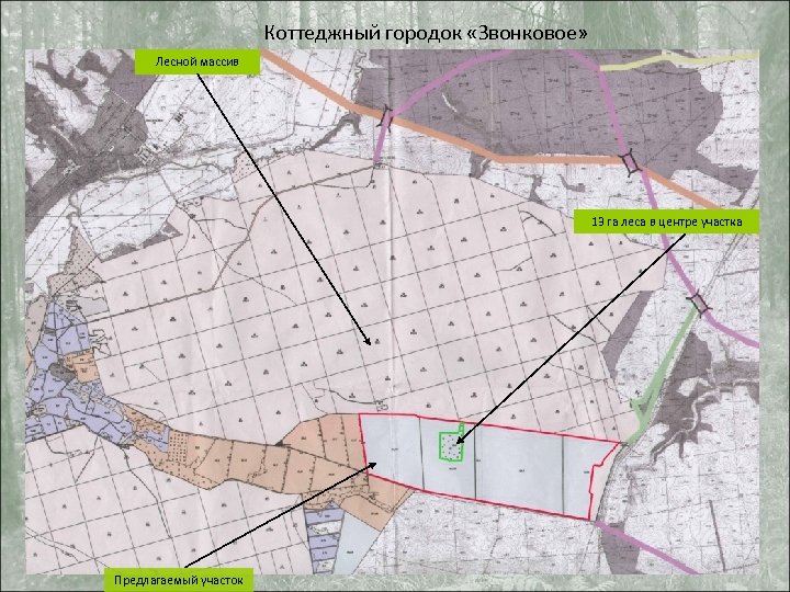 Коттеджный городок «Звонковое» Лесной массив 13 га леса в центре участка Предлагаемый участок 