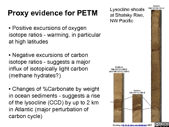 Proxy evidence for PETM Lysocline shoals at Shatsky Rise, NW Pacific • Positive excursions