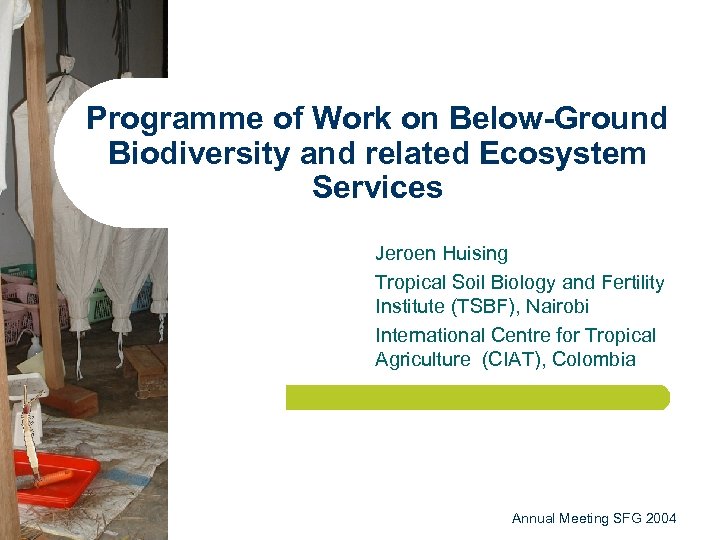 Programme of Work on Below-Ground Biodiversity and related Ecosystem Services Jeroen Huising Tropical Soil