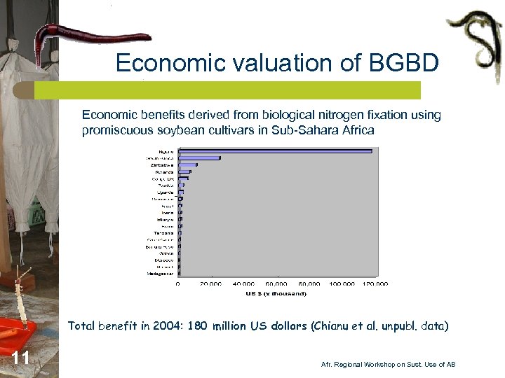 Economic valuation of BGBD Economic benefits derived from biological nitrogen fixation using promiscuous soybean