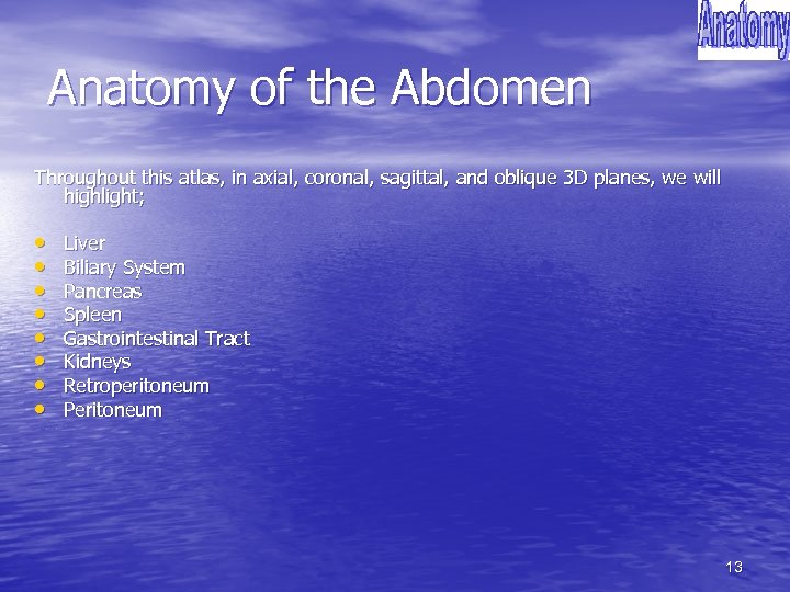 Anatomy of the Abdomen Throughout this atlas, in axial, coronal, sagittal, and oblique 3