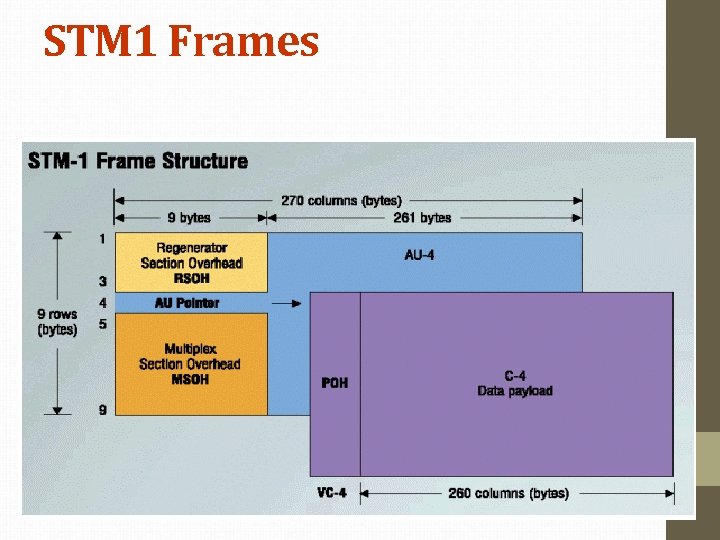 STM 1 Frames 