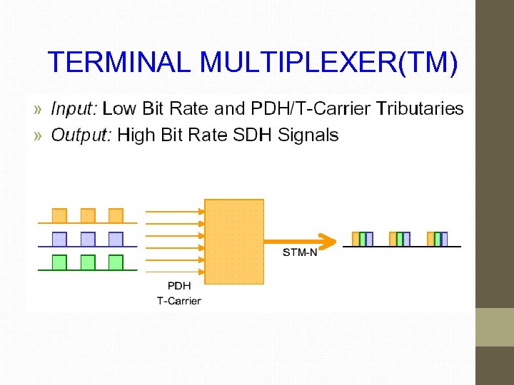 TERMINAL MULTIPLEXER(TM) 