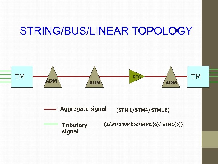 STRING/BUS/LINEAR TOPOLOGY TM REG ADM ADM Aggregate signal Tributary signal (STM 1/STM 4/STM 16)