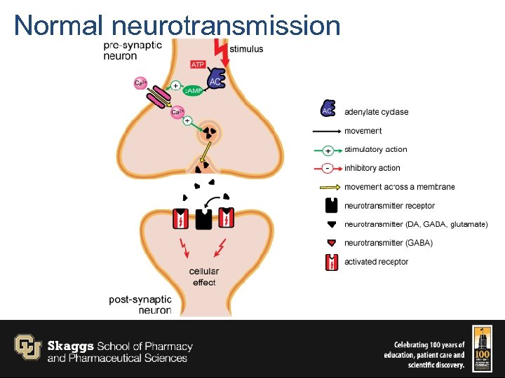 What is known about the clinical pharmacology of