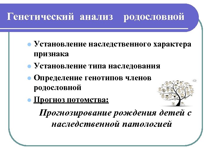 Генетический анализ родословной Установление наследственного характера признака l Установление типа наследования l Определение генотипов
