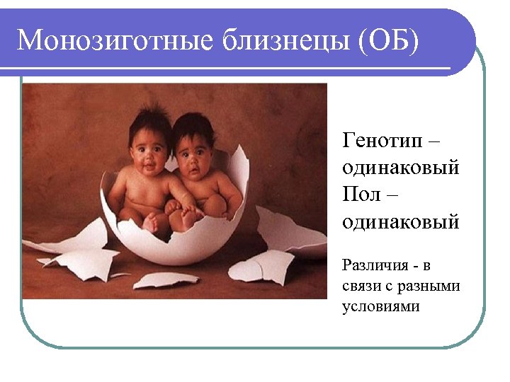 Монозиготные близнецы (ОБ) Генотип – одинаковый Пол – одинаковый Различия - в связи с