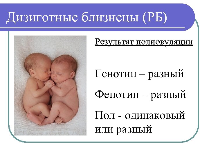 Дизиготные близнецы (РБ) Результат полиовуляции Генотип – разный Фенотип – разный Пол - одинаковый