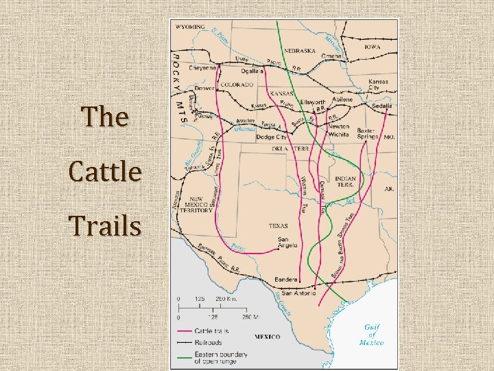 The Cattle Trails 