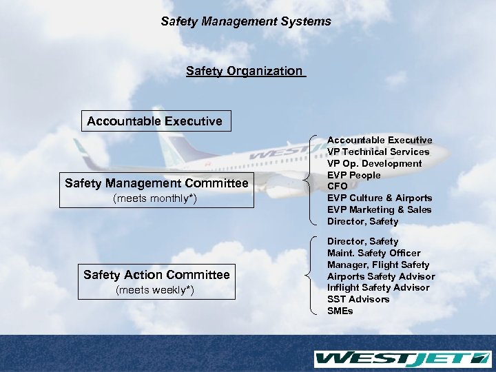 Safety Management Systems Safety Organization Accountable Executive Safety Management Committee (meets monthly*) Safety Action