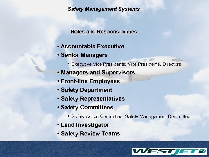 Safety Management Systems Roles and Responsibilities • Accountable Executive • Senior Managers • Executive
