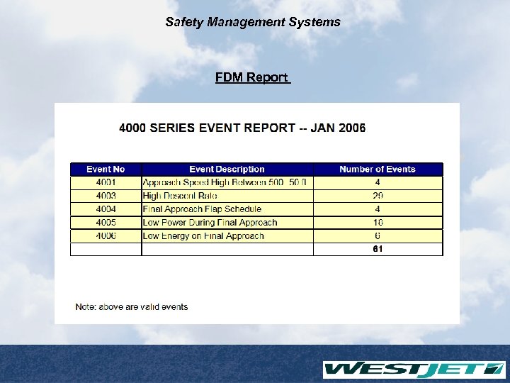 Safety Management Systems FDM Report 