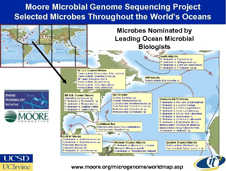 Moore Microbial Genome Sequencing Project Selected Microbes Throughout the World’s Oceans Microbes Nominated by