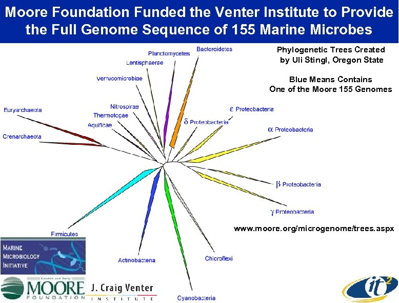 Moore Foundation Funded the Venter Institute to Provide the Full Genome Sequence of 155