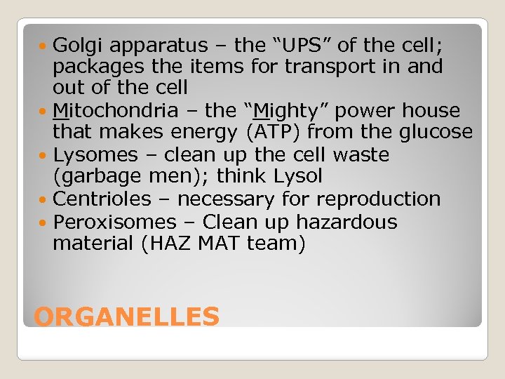Golgi apparatus – the “UPS” of the cell; packages the items for transport in