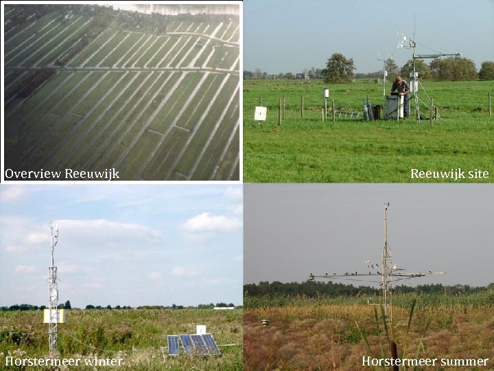 Overview Reeuwijk site Horstermeer winter Horstermeer summer 