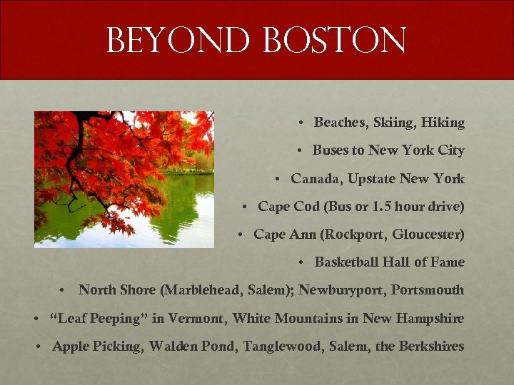 Beyond Boston • Beaches, Skiing, Hiking • Buses to New York City • Canada,