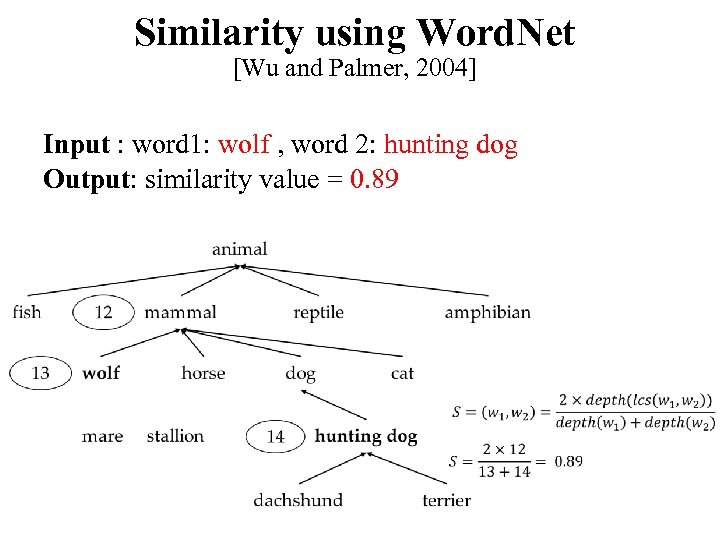 Similarity using Word. Net [Wu and Palmer, 2004] Input : word 1: wolf ,