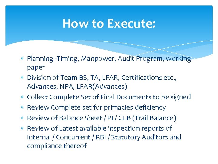 How to Execute: Planning -Timing, Manpower, Audit Program, working paper Division of Team-BS, TA,