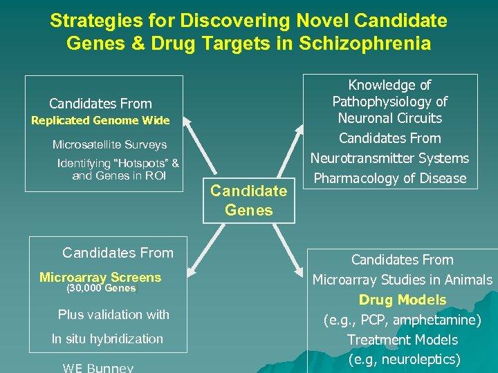Strategies for Discovering Novel Candidate Genes & Drug Targets in Schizophrenia Candidates From Replicated