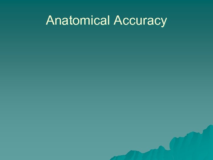 Anatomical Accuracy 