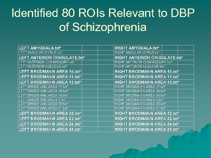 Identified 80 ROIs Relevant to DBP of Schizophrenia 