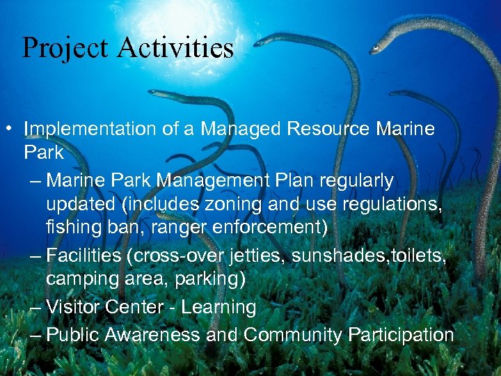 Project Activities • Implementation of a Managed Resource Marine Park – Marine Park Management