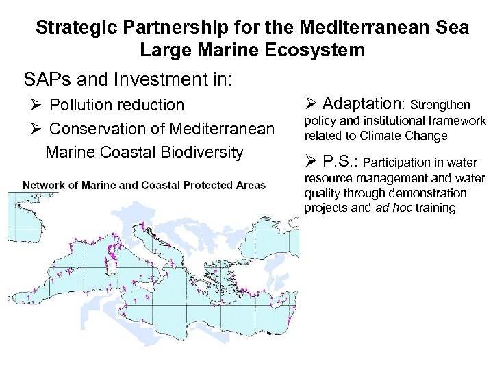 Strategic Partnership for the Mediterranean Sea Large Marine Ecosystem SAPs and Investment in: Ø