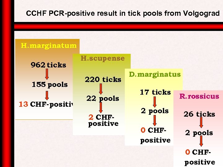 CCHF PCR-positive result in tick pools from Volgograd H. marginatum 962 ticks 155 pools